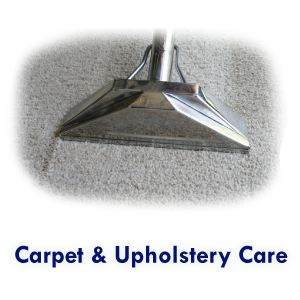 Deep Carpet Cleaners Cape Town