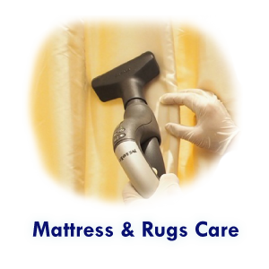 Deep Carpet Cleaners Cape Town